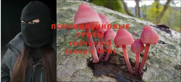 СК Лиски