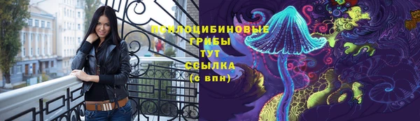 МДПВ Магадан
