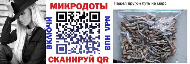 Псилоцибиновые грибы Magic Shrooms  Купить закладки  Усолье-Сибирское 